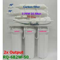0 ppm Reverse Osmosis 2 OUTPUT RODI WaterFilter RQ-6B2W-50